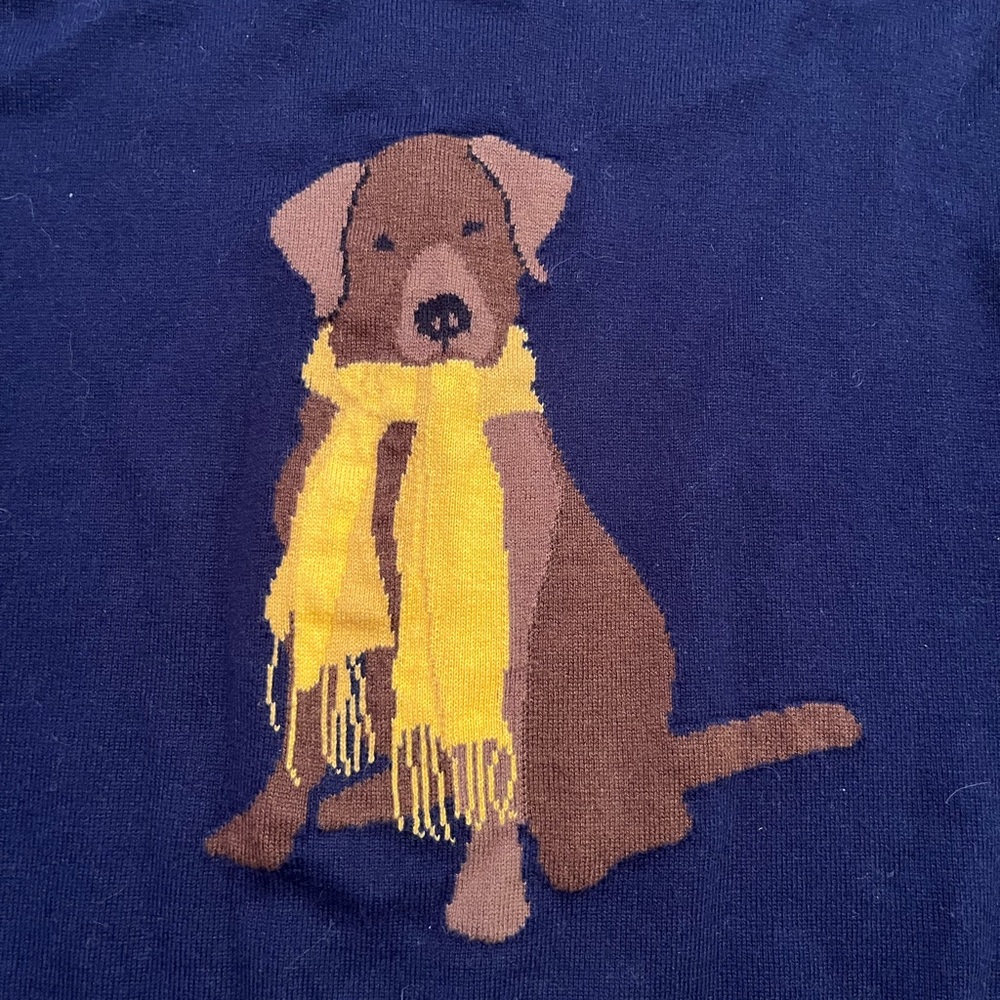 Fall Labrador Dog Sweater - Picture 2 of 3